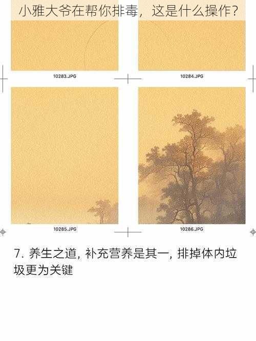 小雅大爷在帮你排毒，这是什么操作？