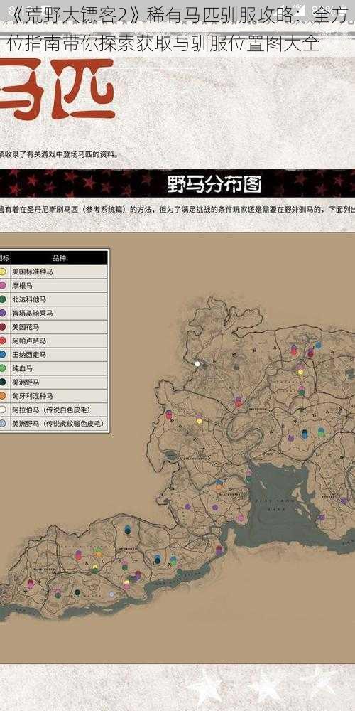 《荒野大镖客2》稀有马匹驯服攻略：全方位指南带你探索获取与驯服位置图大全