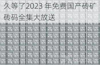 久等了2023 年免费国产砖矿砖码全集大放送